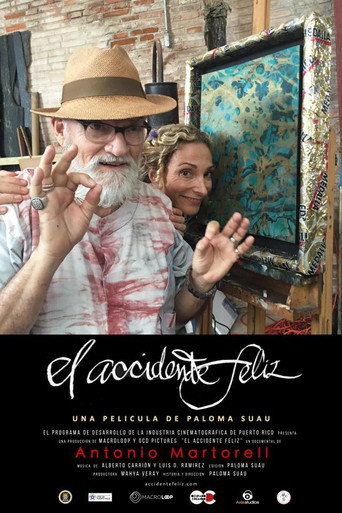 El accidente feliz movie poster