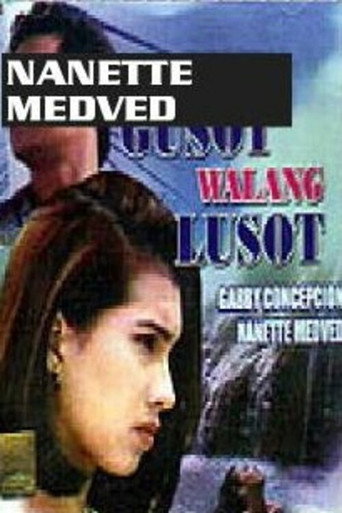 Kapag May Gusot... Walang Lusot movie poster