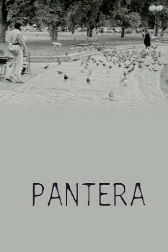 Pantera movie poster