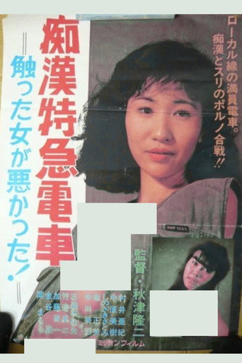 The Molester Express: It's the Woman's Own Fault She Got Touched! movie poster