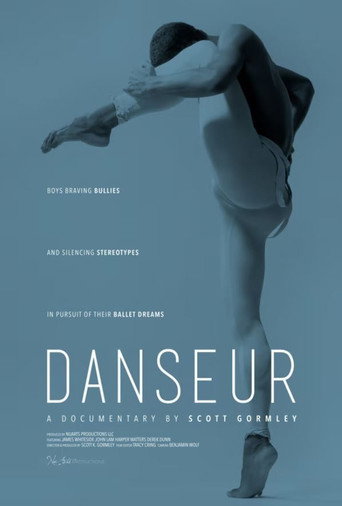 Danseur movie poster
