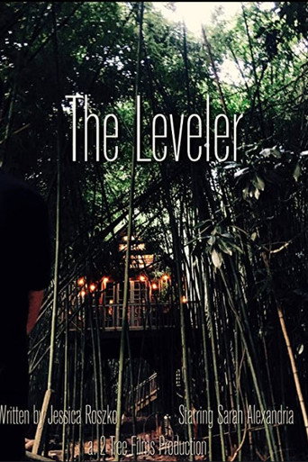 The Leveler movie poster