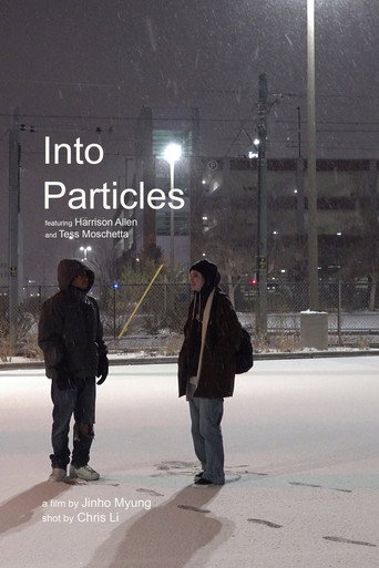 Into Particles movie poster