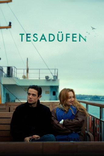 Coincidentally movie poster