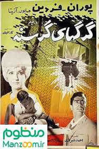 Hungary wolves movie poster