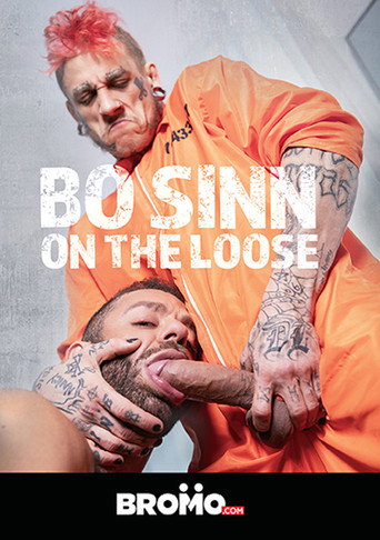 Bo Sinn: On the Loose movie poster
