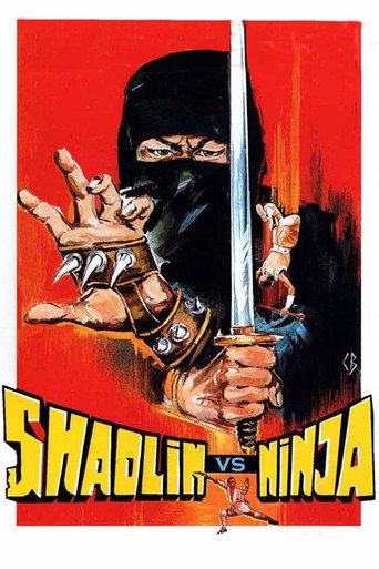 Shaolin vs. Ninja movie poster