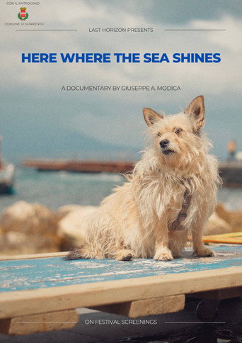 Here where the sea shines movie poster