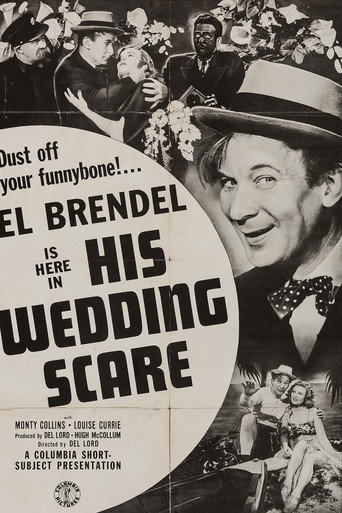 His Wedding Scare movie poster
