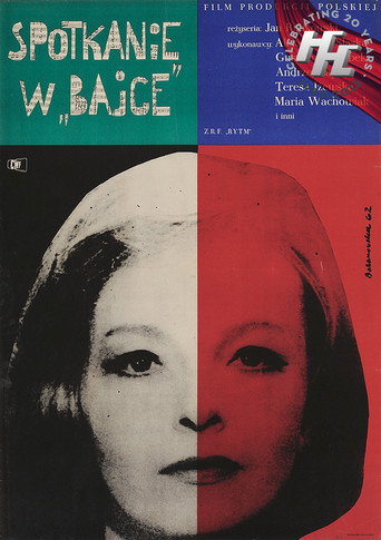 Basha: The Unsung Heroine of Polish Poster Art movie poster
