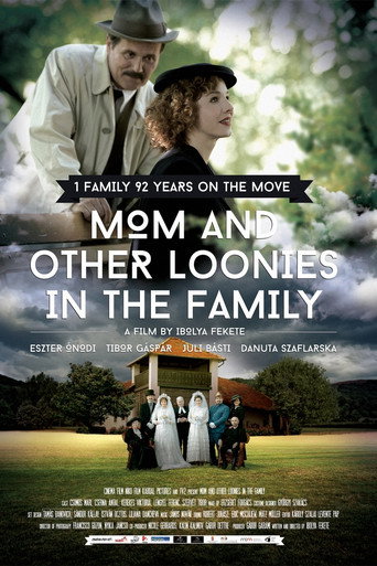 Mom and Other Loonies in the Family movie poster