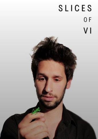 Slices of Vi movie poster
