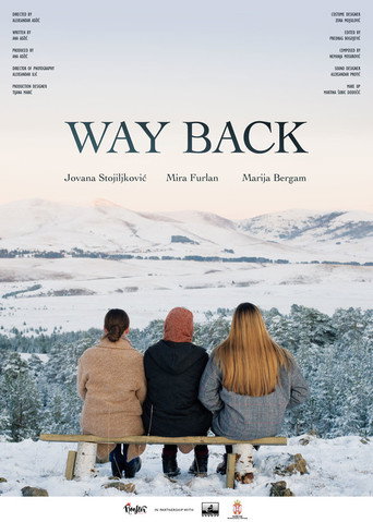 Way Back movie poster