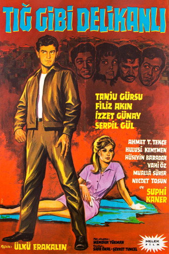 Tığ Gibi Delikanlı movie poster