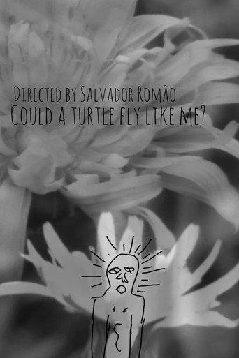 Could a turtle fly like me? movie poster