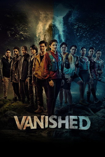 Vanished movie poster