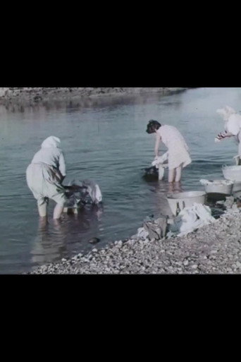 Un feudo d'acqua movie poster