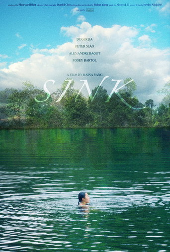 Sink movie poster