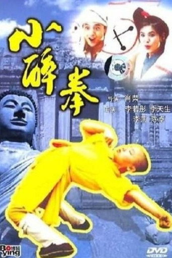 The Little Drunken Masters movie poster