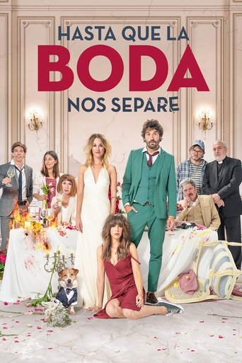 The Wedding Unplanner movie poster
