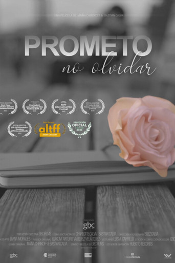 I Promise to Never Forget movie poster