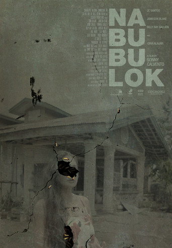 The Decaying movie poster
