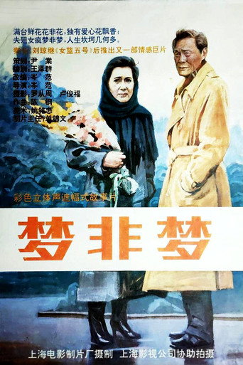 梦非梦 movie poster