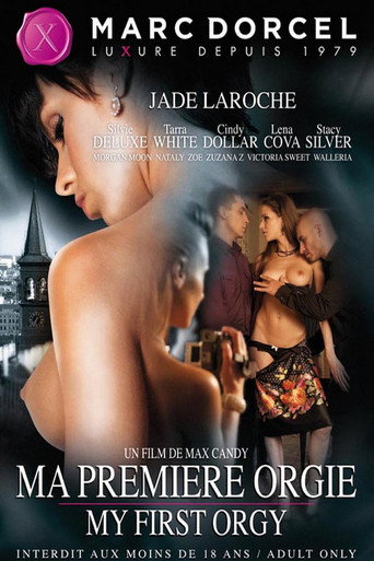 My First Orgy movie poster