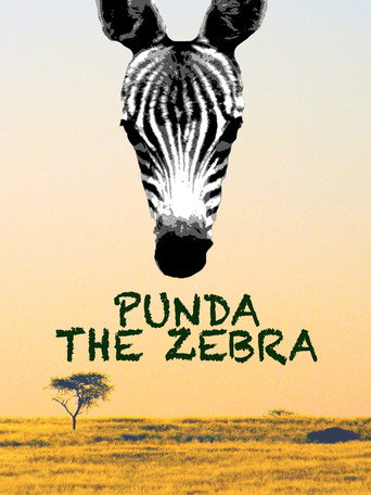 Punda the Zebra movie poster