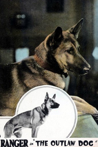The Outlaw Dog movie poster