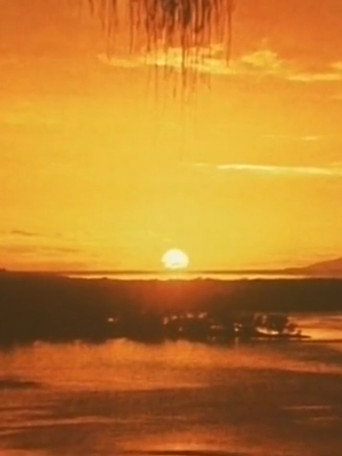 Artificial Paradise movie poster