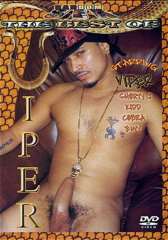 The Best of Viper movie poster
