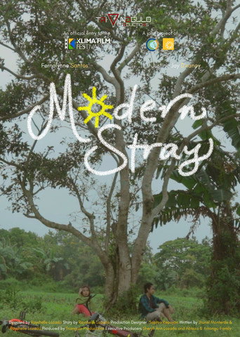 Modern Stray movie poster