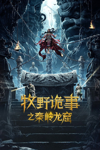 Mystery of Muye: Qinling Dragon Grottoes movie poster