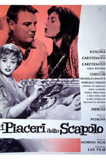 I piaceri dello scapolo movie poster