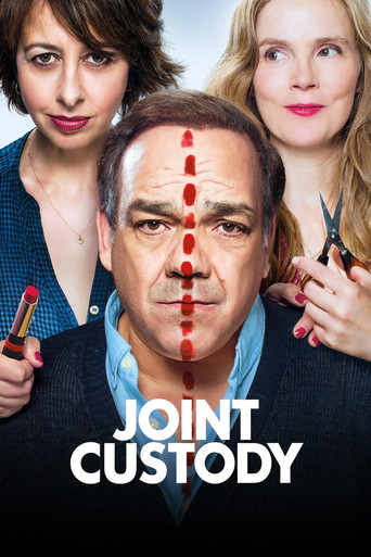 Joint Custody movie poster