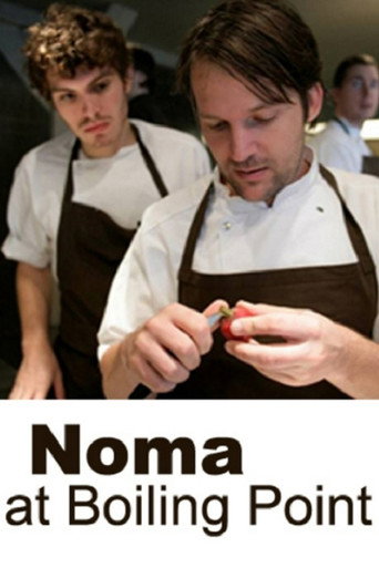 Noma at Boiling Point movie poster