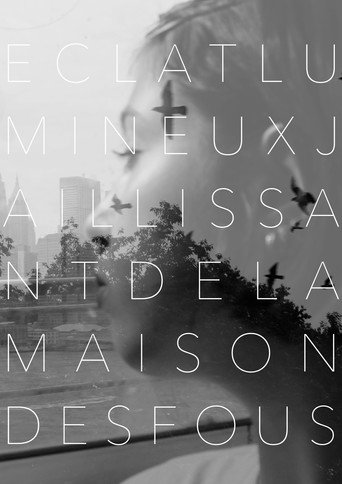 Éclat Lumineux Jaillissant de la Maison des Fous movie poster