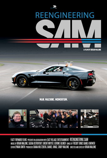 Reengineering SAM movie poster