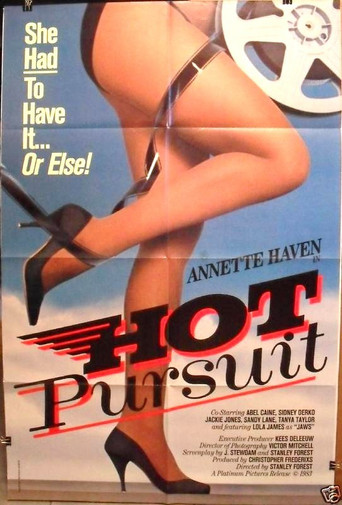 Hot Pursuit movie poster