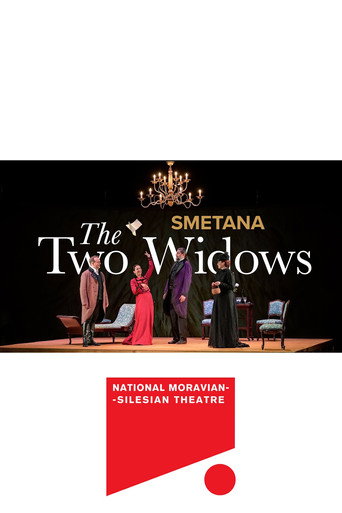 The Two Widows - Smetana movie poster