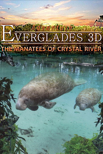 Adventure Everglades 3D - The Manatees of Crystal River movie poster