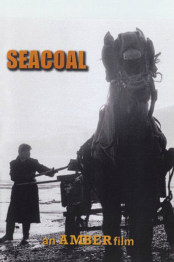 Seacoal movie poster