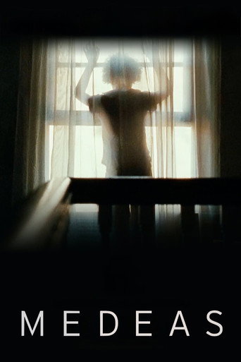 Medeas movie poster