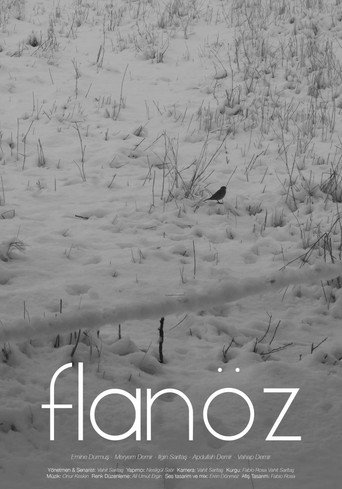 Flaneuse movie poster