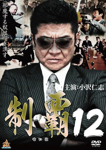 Conquest 12 movie poster