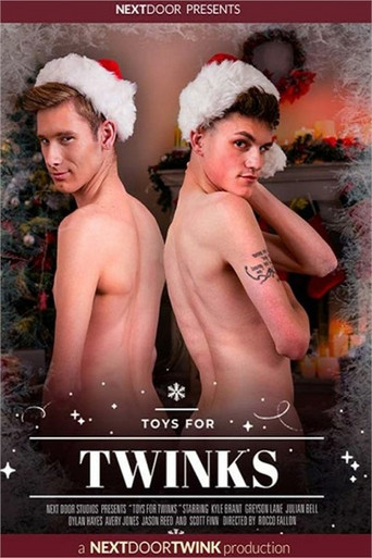 Toys For Twinks movie poster