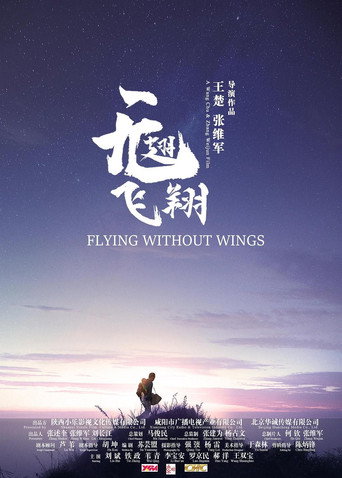 无翅飞翔 movie poster
