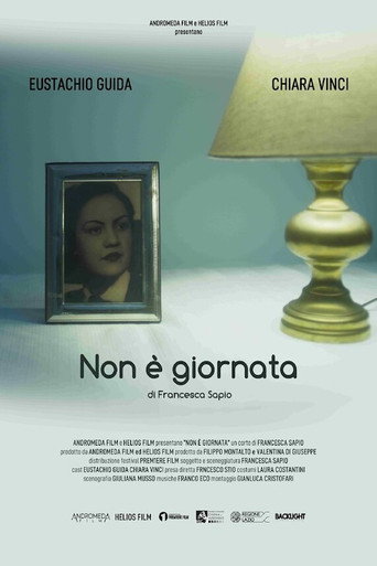 Non è giornata movie poster