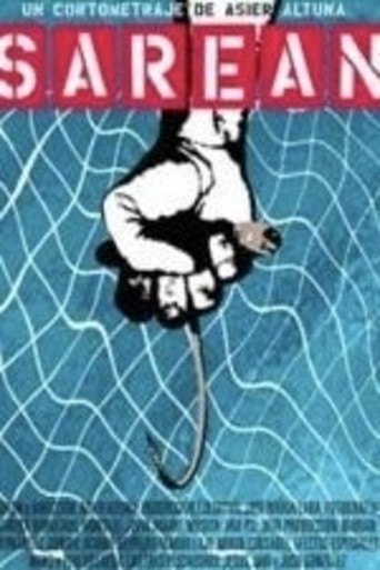 In the Net movie poster
